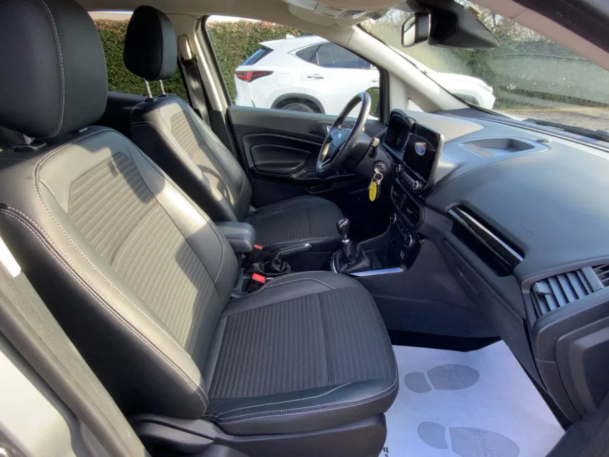Ford EcoSport usata a Perugia (11)
