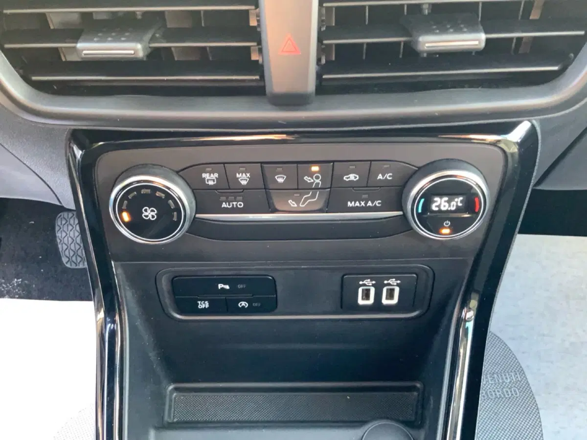 Ford EcoSport usata a Perugia (7)