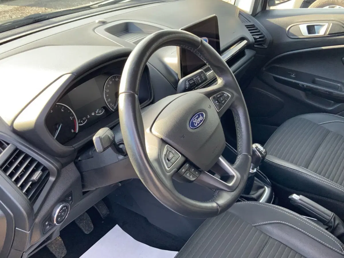 Ford EcoSport usata a Perugia (9)