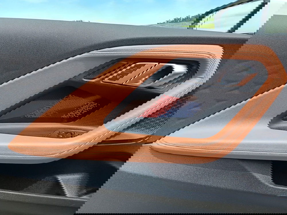 BMW Serie 2 Coupé usata a Torino (10)