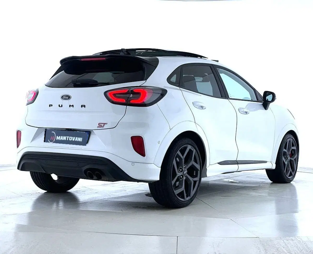 Ford Puma usata a Perugia (2)