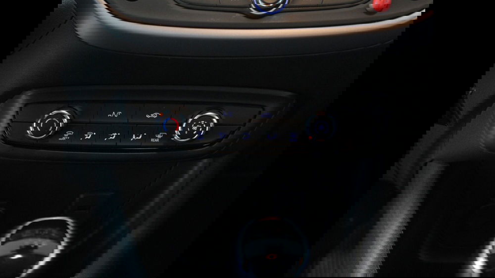 Opel Crossland usata a Palermo (19)