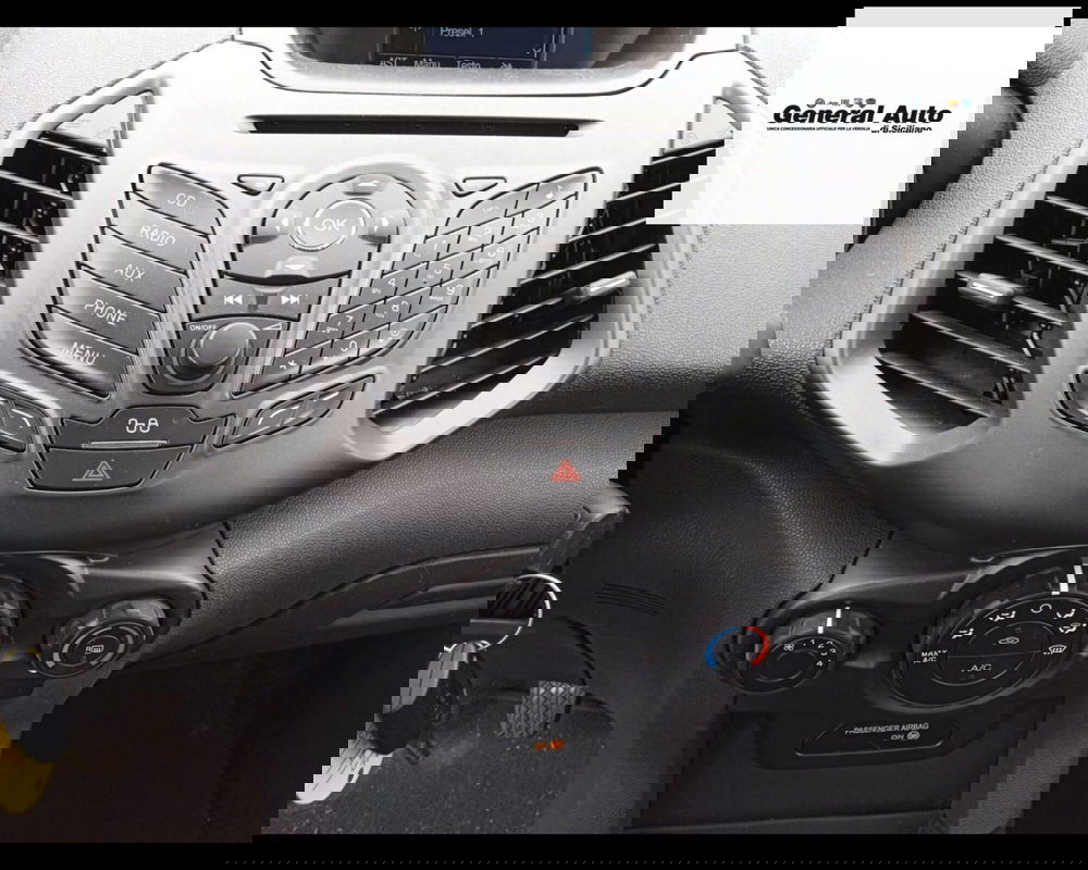 Ford EcoSport usata a Lucca (12)