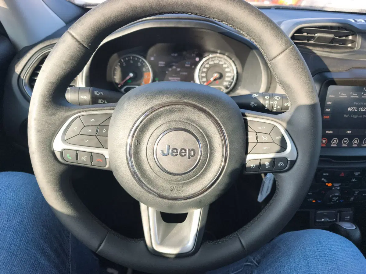 Jeep Renegade usata a Frosinone (15)