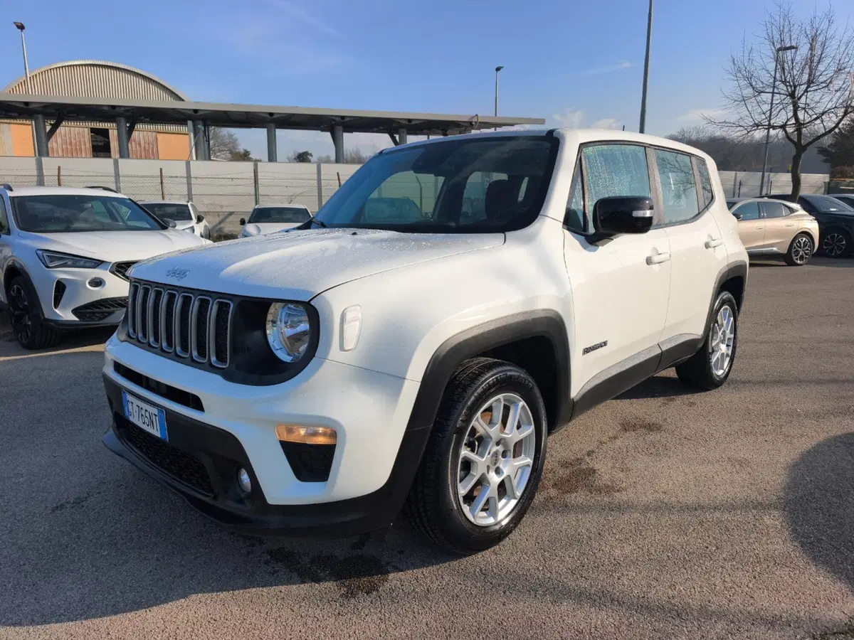 Jeep Renegade usata a Frosinone (2)