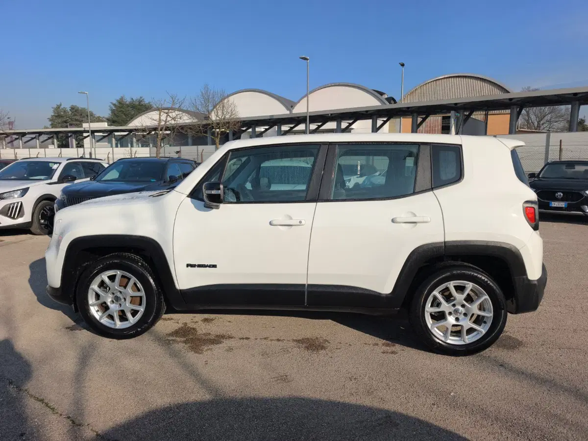 Jeep Renegade usata a Frosinone (3)