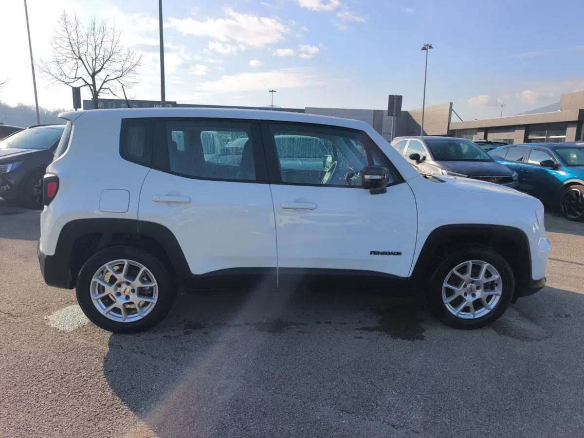 Jeep Renegade usata a Frosinone (7)