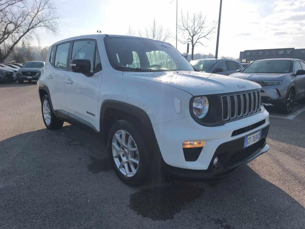 Jeep Renegade usata a Frosinone (8)