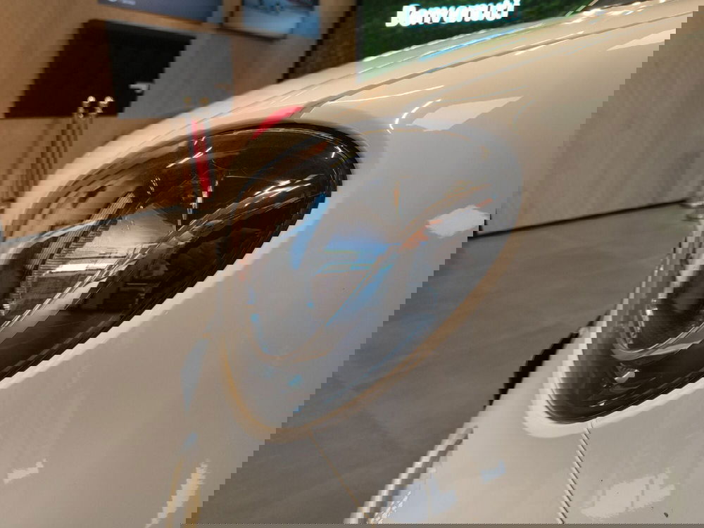 smart forfour usata a Catanzaro (12)