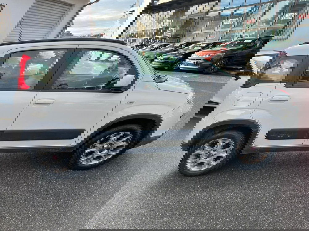 Fiat Panda usata a Lucca (4)