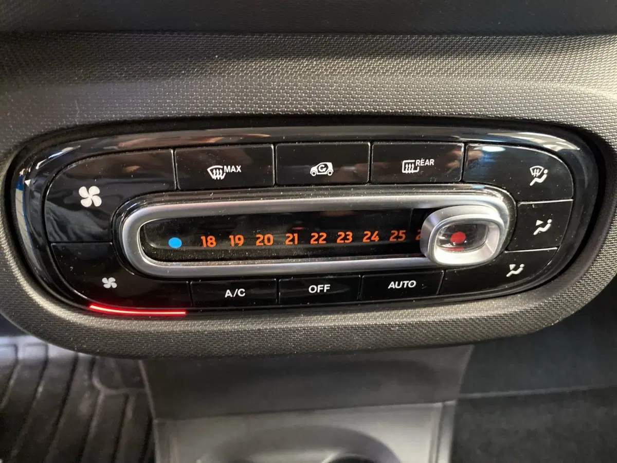 smart forfour usata a Lodi (12)