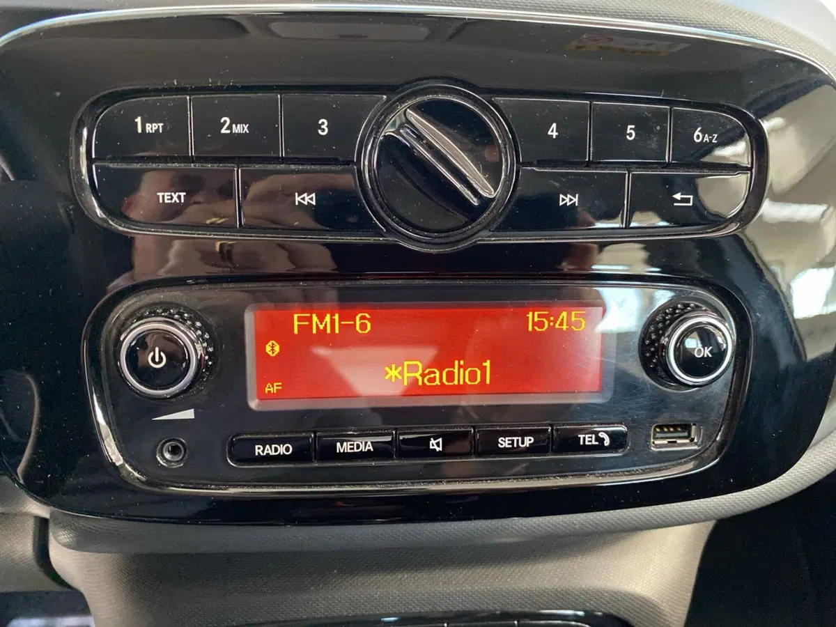 smart forfour usata a Lodi (13)