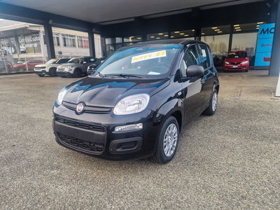 Fiat Pandina 1.0 firefly hybrid s&amp;s 70cv nuova a Cirie'