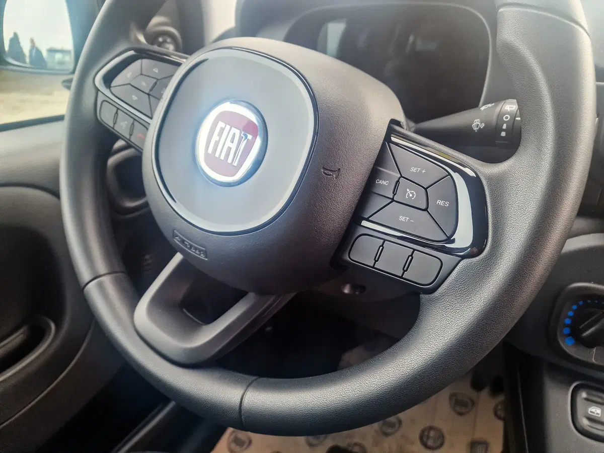 Fiat Pandina nuova a Torino (16)