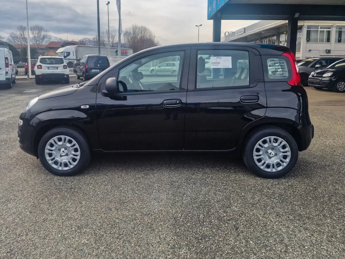 Fiat Pandina nuova a Torino (3)