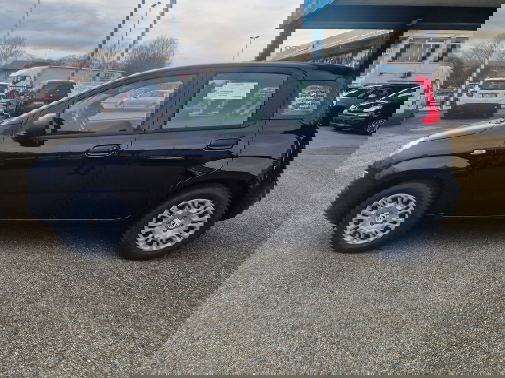 Fiat Pandina nuova a Torino (3)