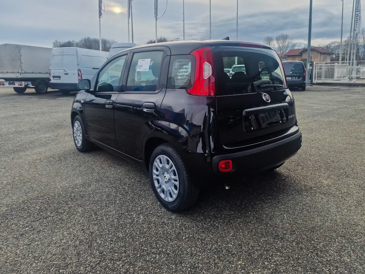 Fiat Pandina nuova a Torino (5)