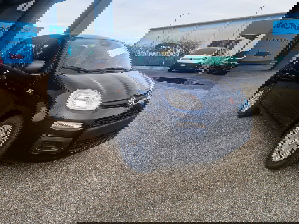 Fiat Pandina nuova a Torino (9)