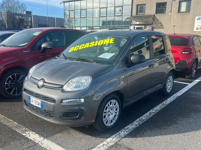 Fiat Panda 1.0 FireFly S&amp;S Hybrid Easy del 2022 usata a Verdello