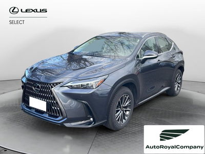 Lexus NX Hybrid 4WD Premium del 2023 usata a Roma