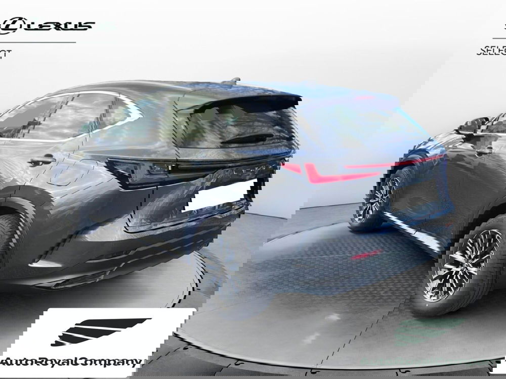 Lexus NX usata a Roma (4)