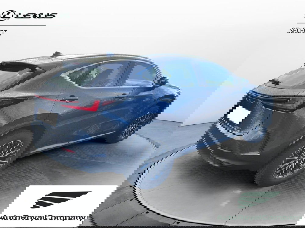 Lexus NX usata a Roma (5)