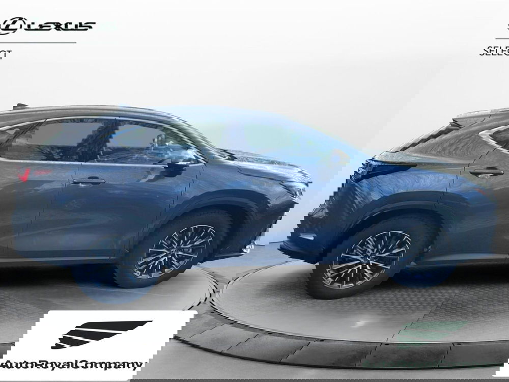 Lexus NX usata a Roma (6)