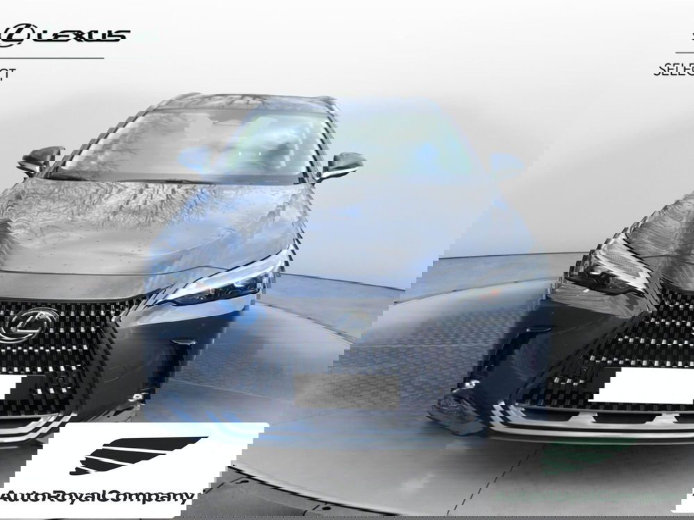 Lexus NX usata a Roma (8)