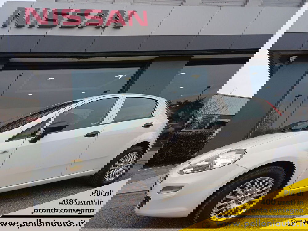 Fiat Punto usata a Modena