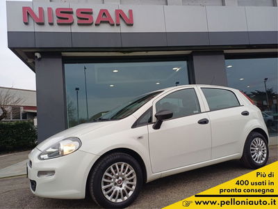 Fiat Punto 1.4 S&amp;S 8V 5 porte Street del 2017 usata a Modena
