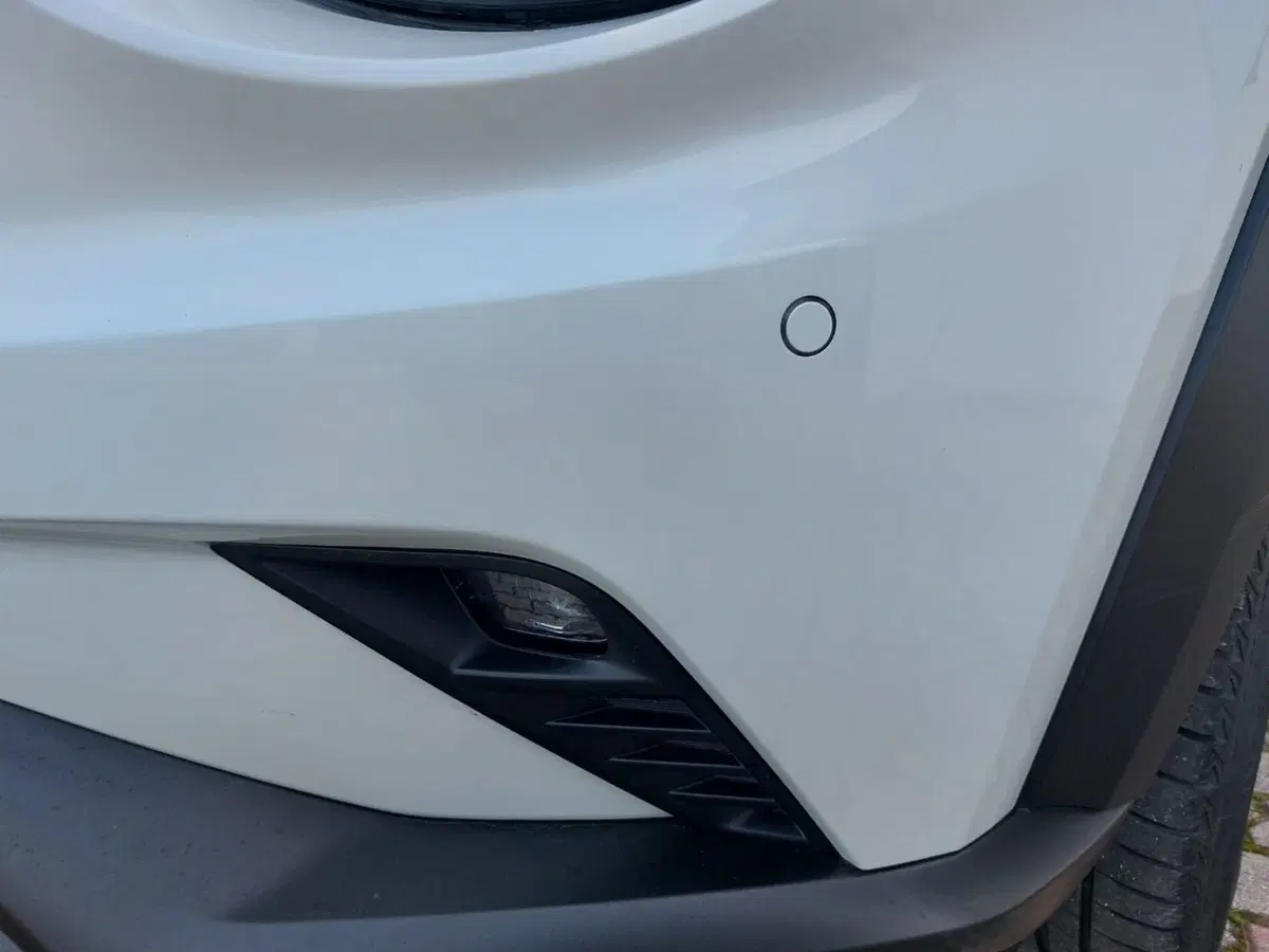 Nissan Juke usata a Pavia (13)