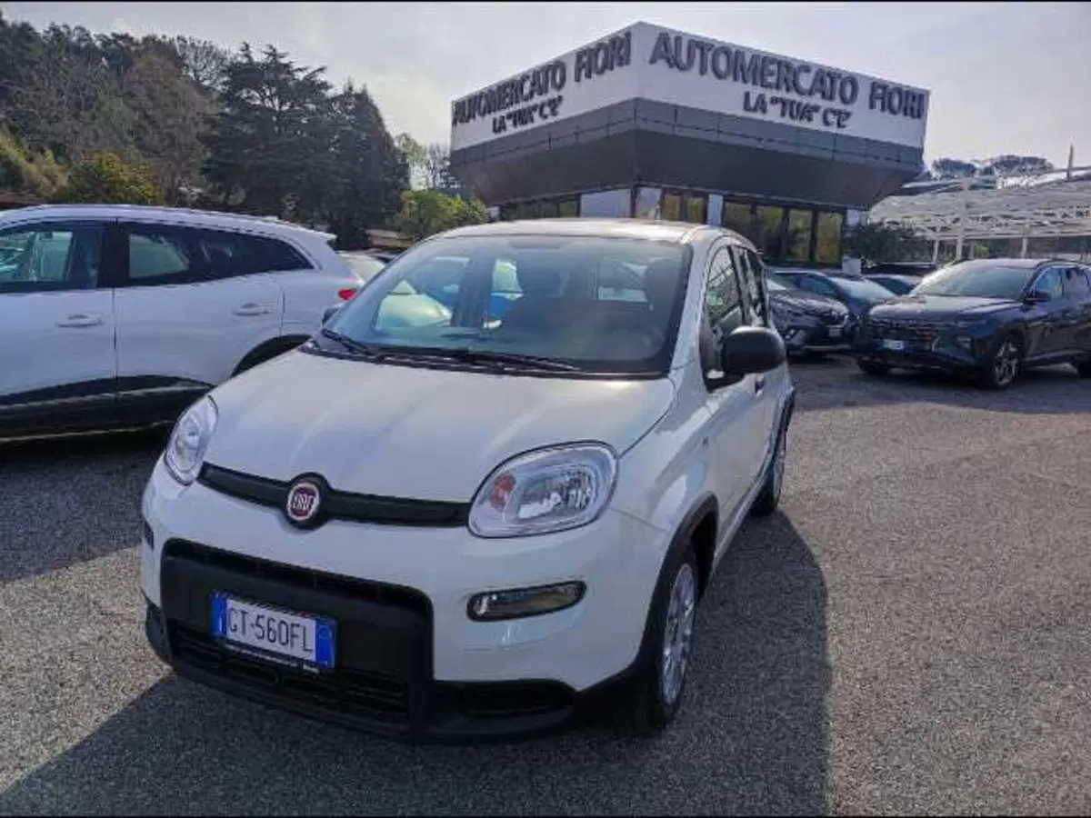 Fiat Panda Cross nuova a Roma
