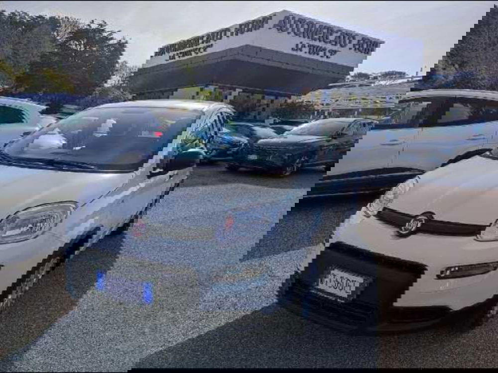 Fiat Panda Cross nuova a Roma