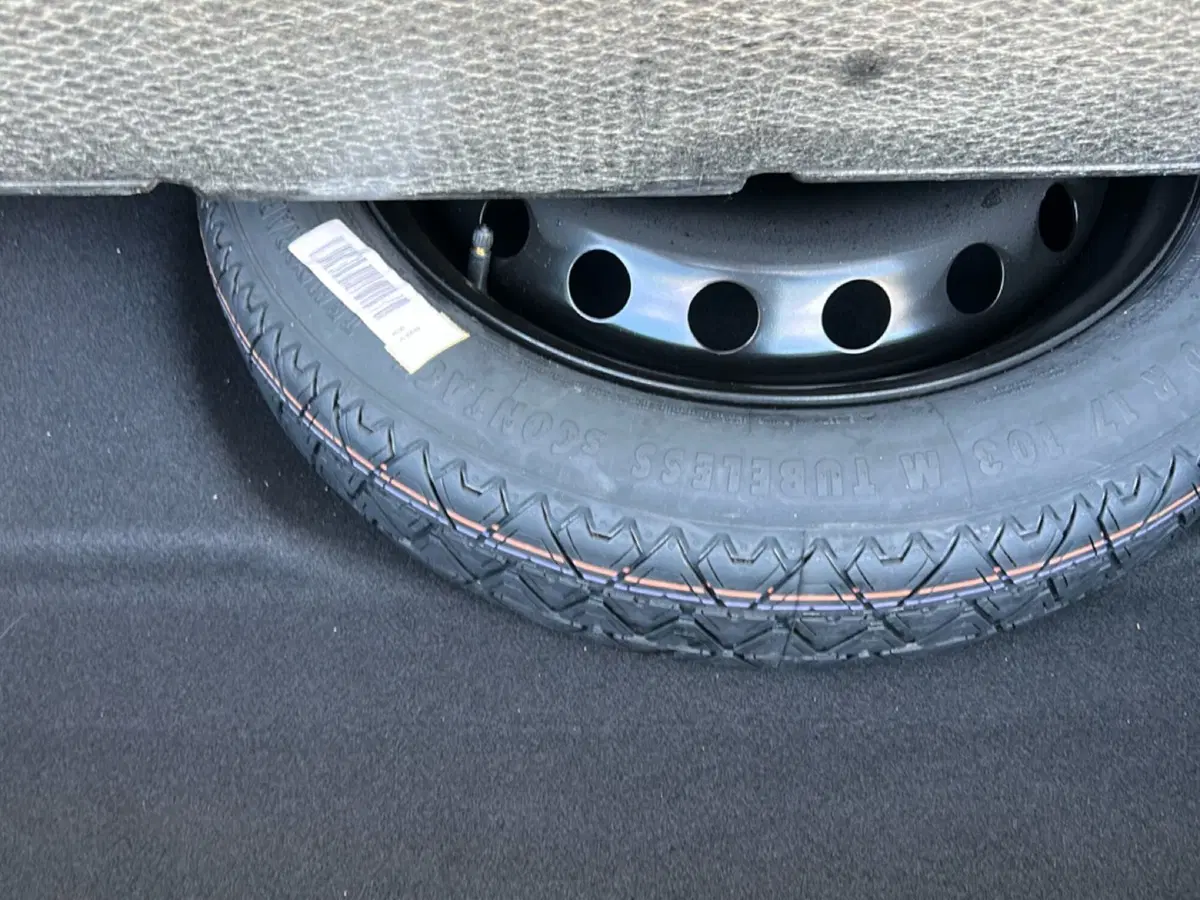 Renault Symbioz usata a Roma (11)