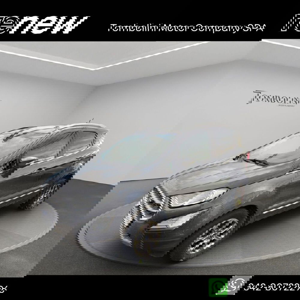 Ford EcoSport usata a Macerata