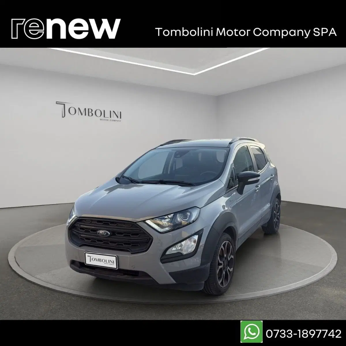 Ford EcoSport usata a Macerata