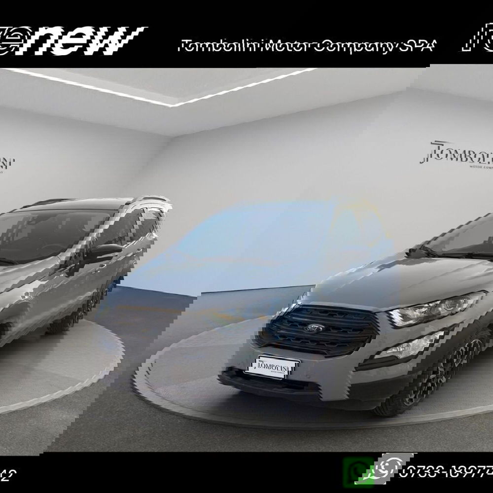 Ford EcoSport usata a Macerata