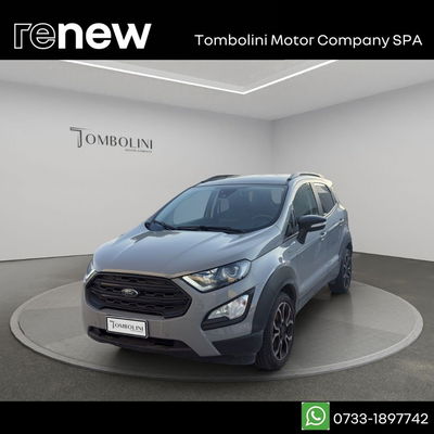 Ford EcoSport 1.0 EcoBoost 125 CV del 2021 usata a Civitanova Marche