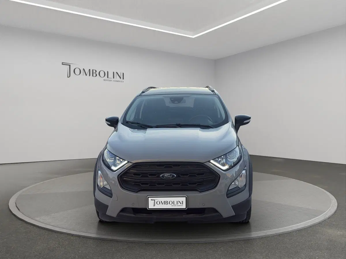 Ford EcoSport usata a Macerata (3)