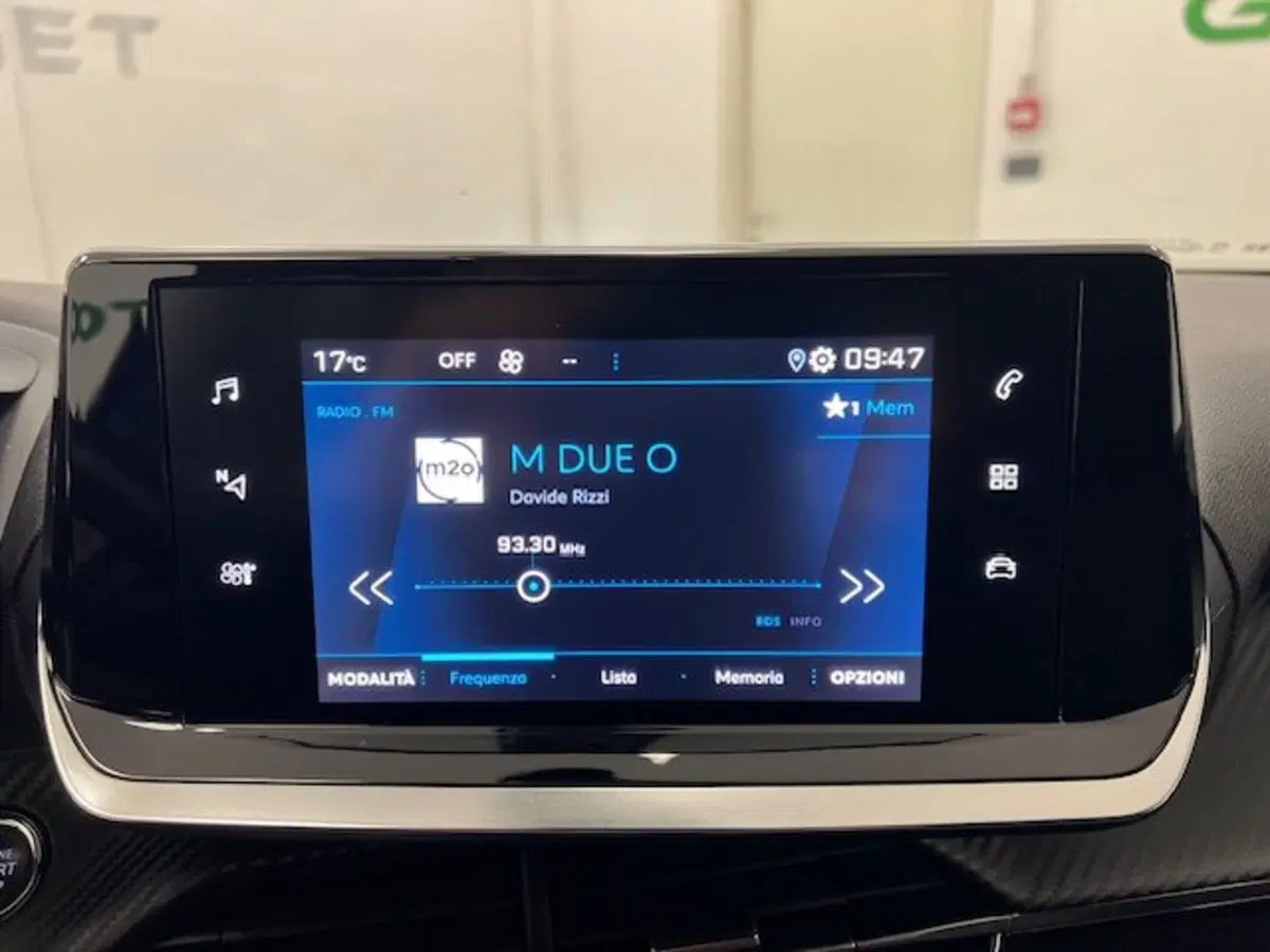 Peugeot 2008 usata a Alessandria (8)