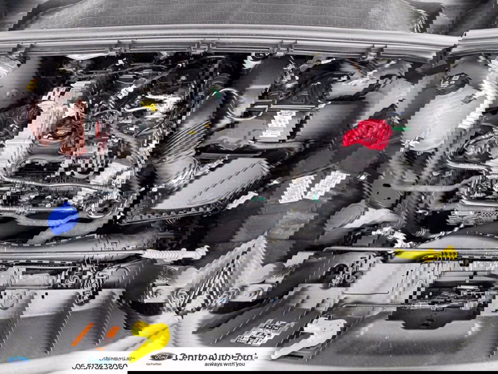 Ford Puma usata a Roma (12)