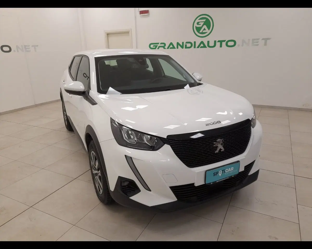 Peugeot 2008 usata a Alessandria (6)