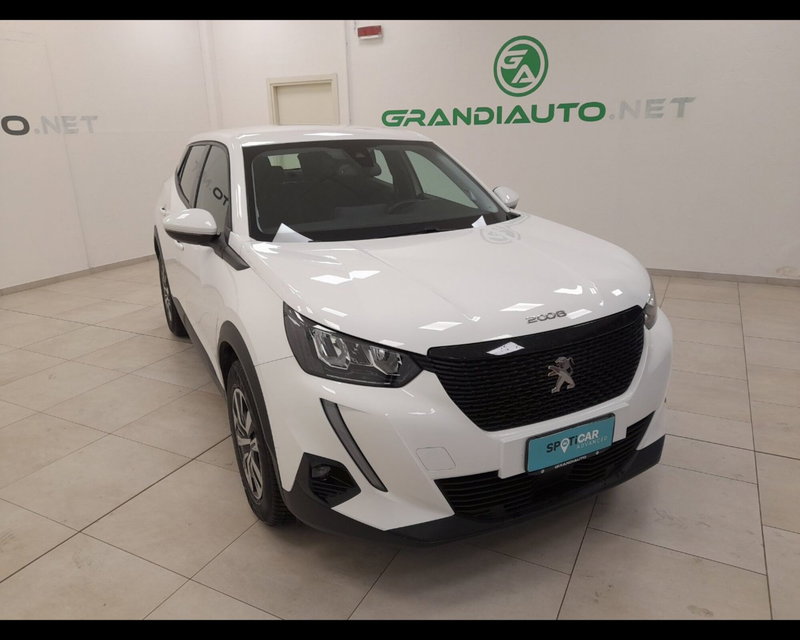 Peugeot 2008 usata a Alessandria (6)