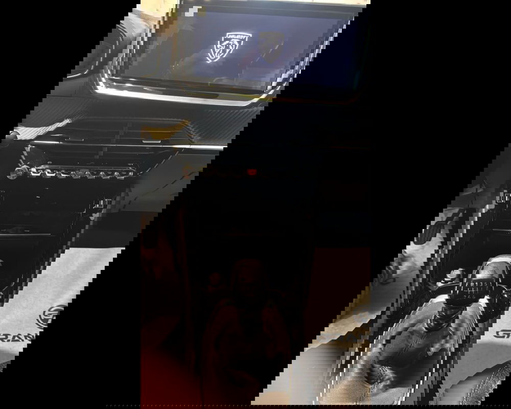 Peugeot 2008 nuova a Savona (11)