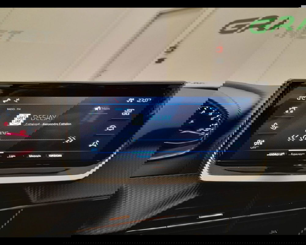 Peugeot 2008 usata a Alessandria (12)