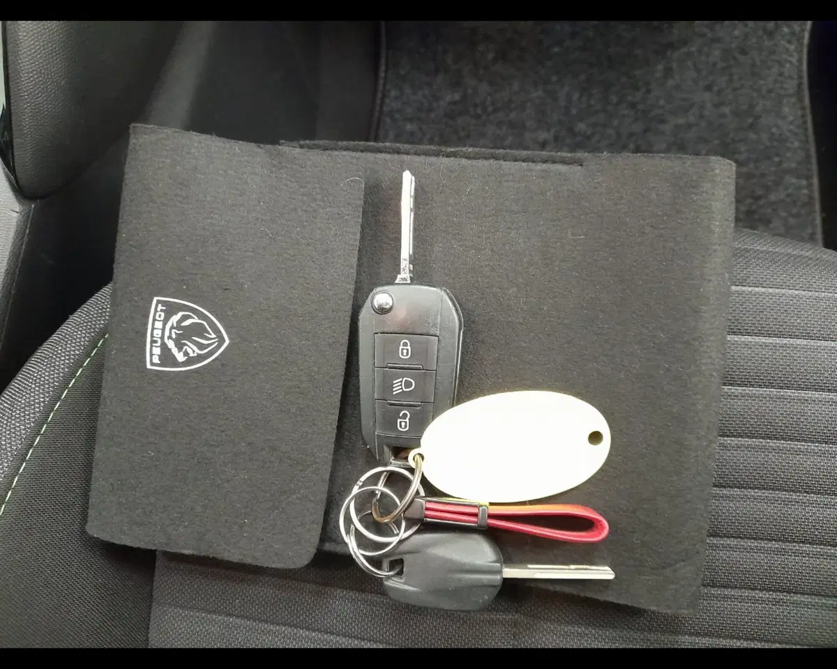 Peugeot 2008 usata a Alessandria (19)