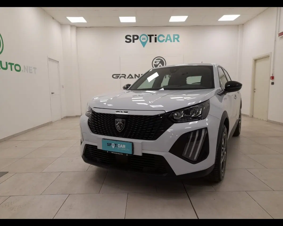 Peugeot 2008 usata a Alessandria (7)