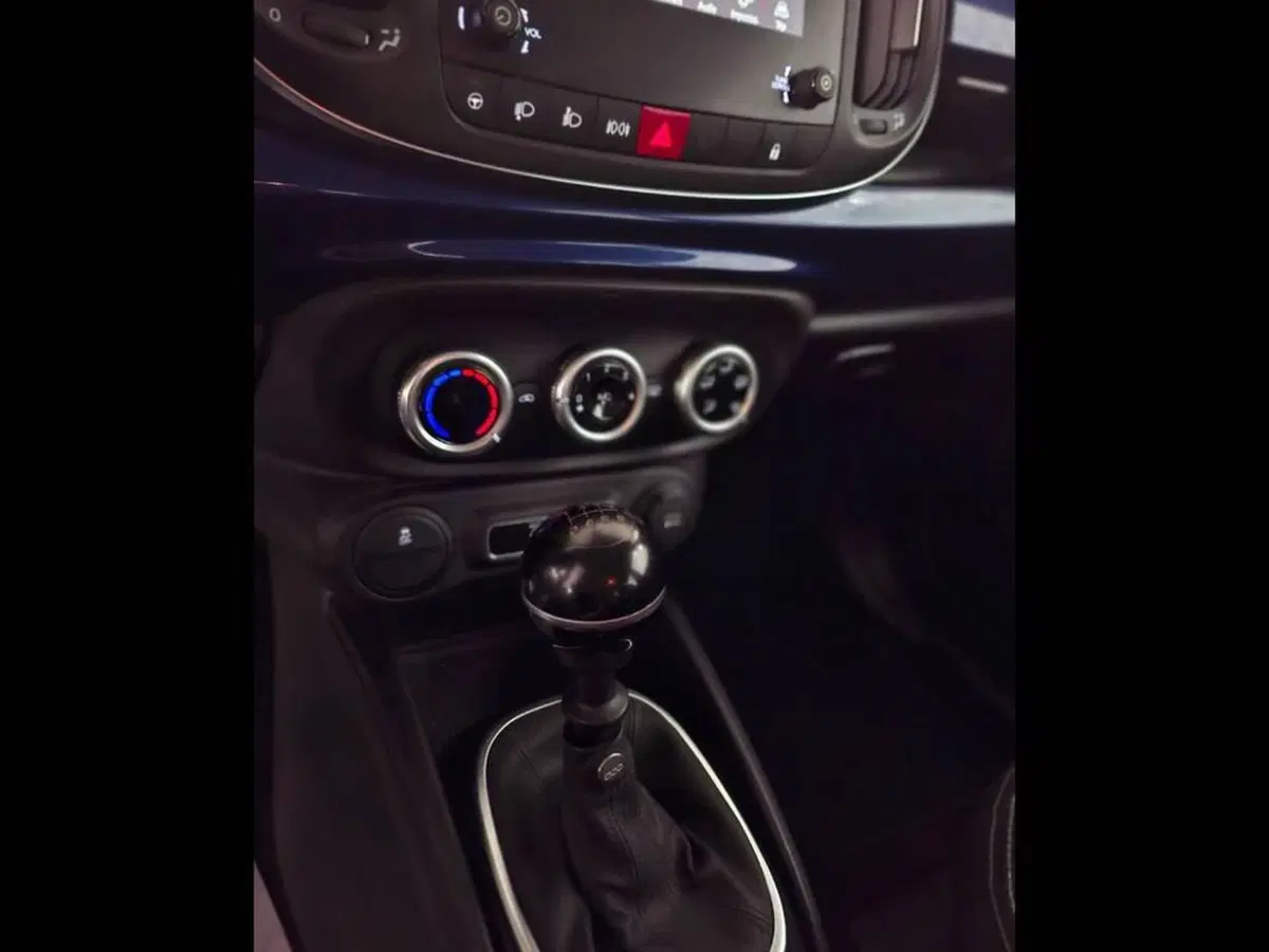 Fiat 500L usata a Torino (8)