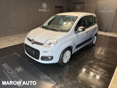 Fiat Panda 1.2 Easy del 2018 usata a Bastia Umbra