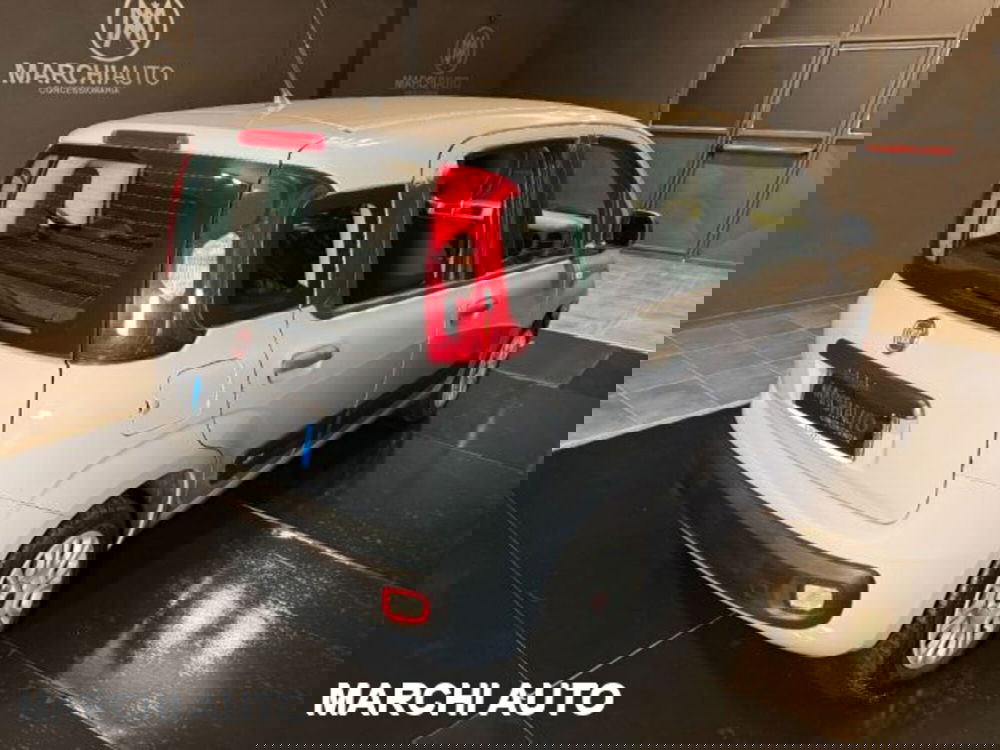 Fiat Panda usata a Perugia (5)